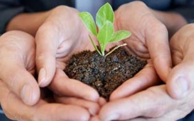 Omnex Acquires Futurepast Sustainability Partnership