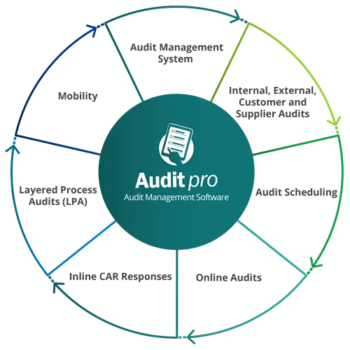 Audit Pro Management Software